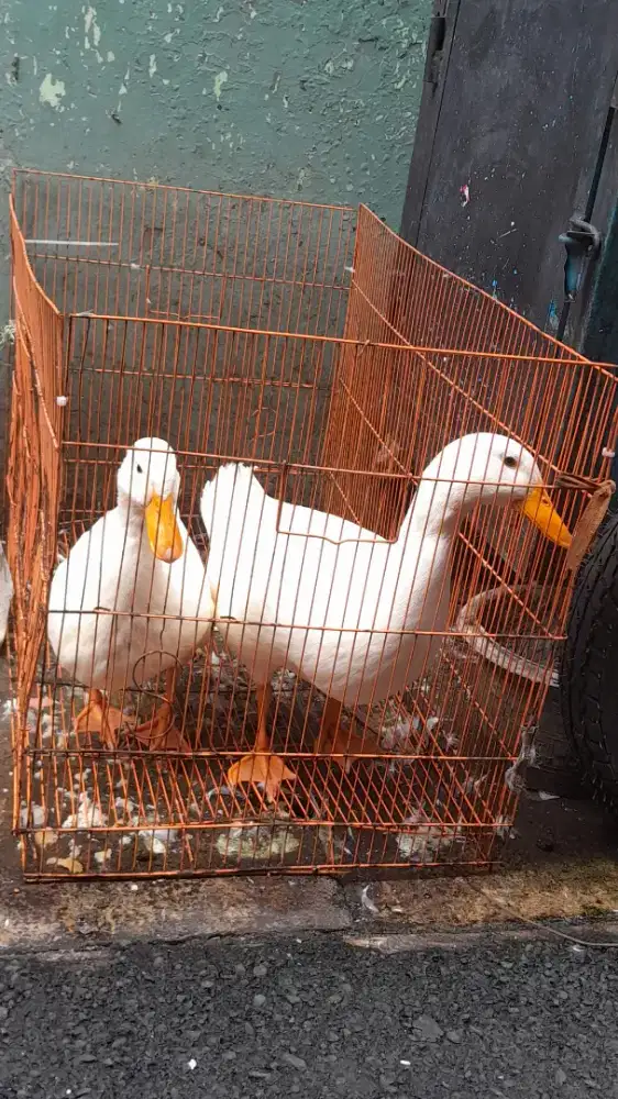 Mencari pekerjaan sebagai staff admin atau kasir