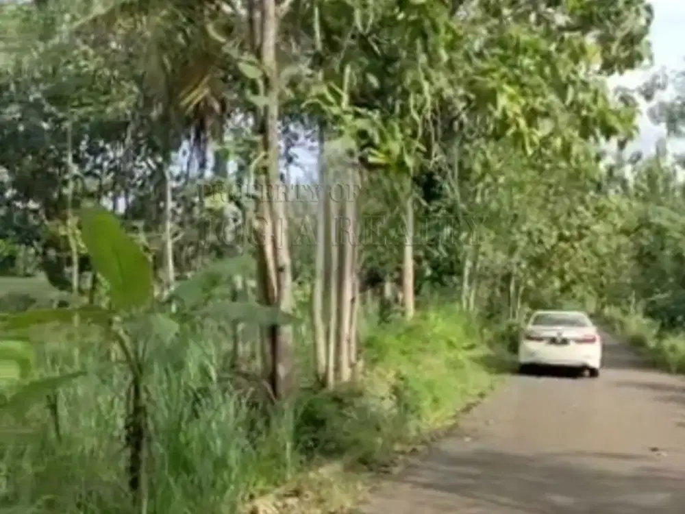Tanah Pekarangan dekat UNY Gunungkidul Yogyakarta