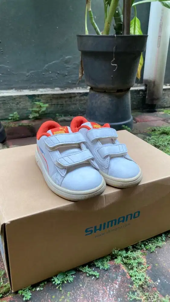 Sepatu anak Puma