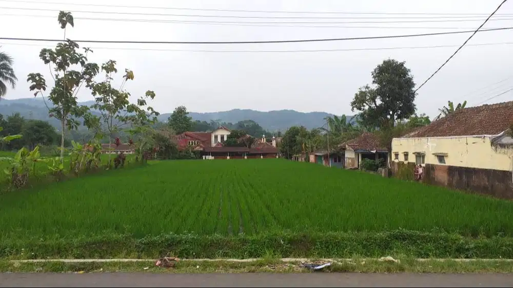 Tanah Sawah Strategis - Dekat Jalan Raya - Cocok Investasi