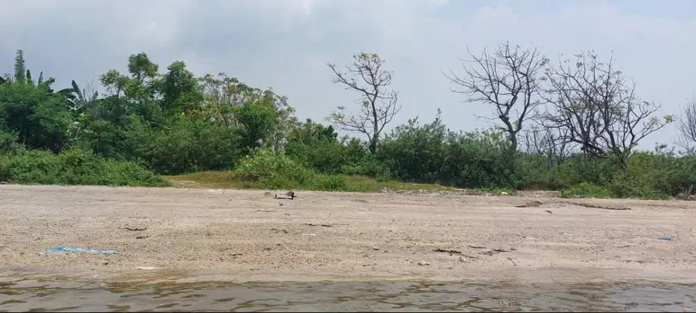Dijual tanah tepi pantai di Jepara