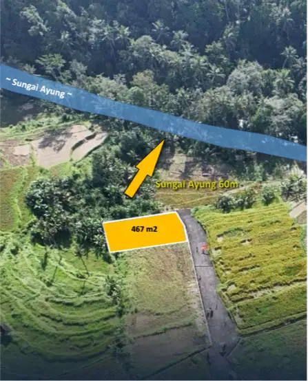 Tanah di Jalan Raya Semana Ubud Bali