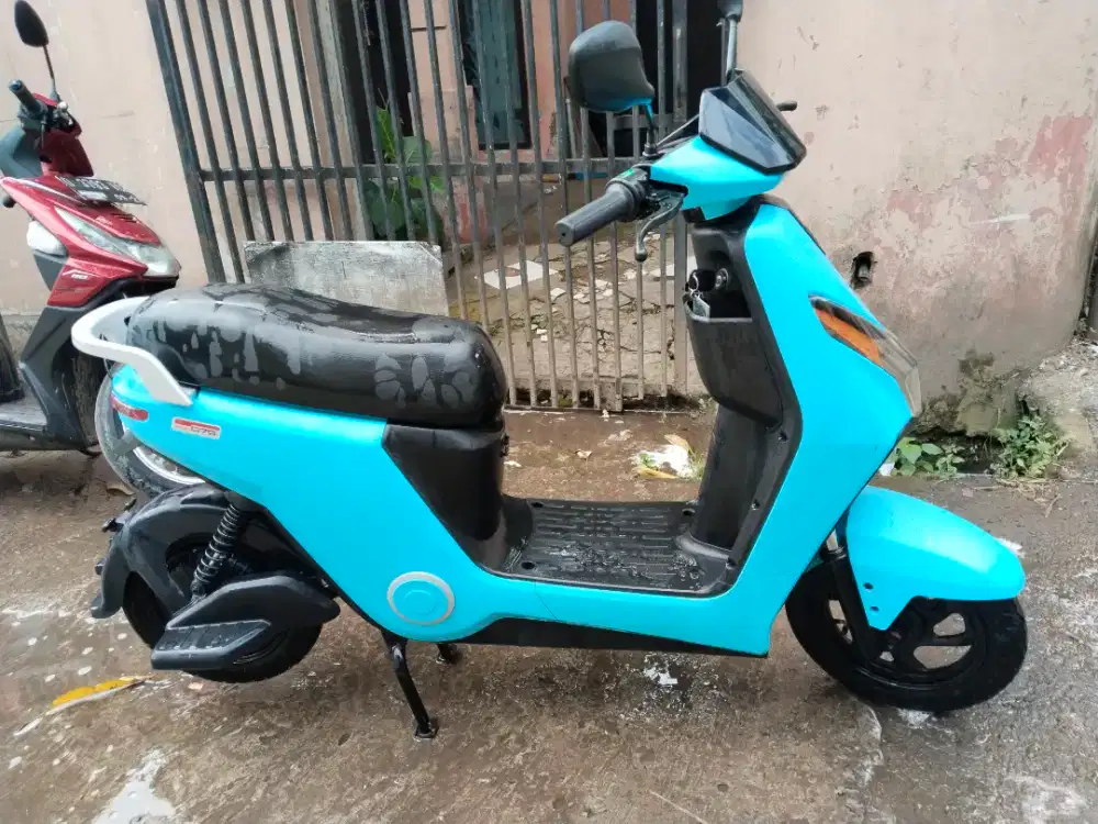 D75 mulus   batree  awett