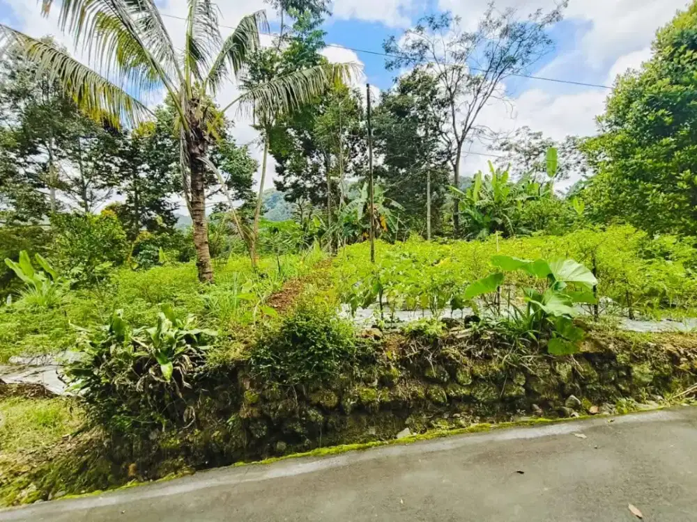 Dijual tanah kemuning