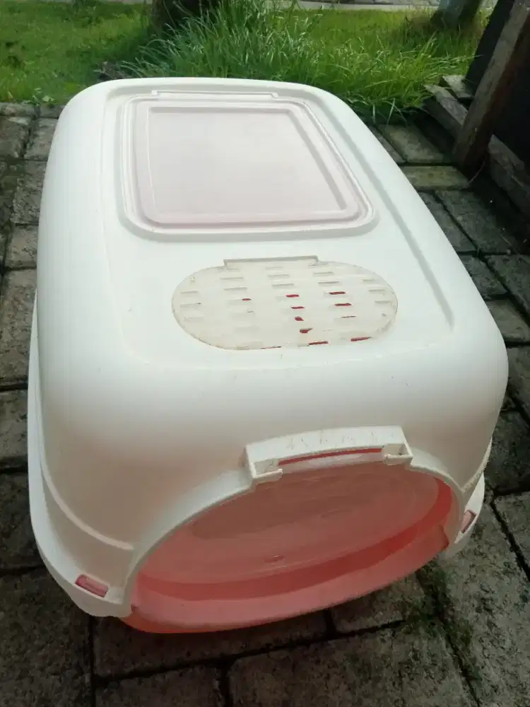 Focat Litter Box Kucing