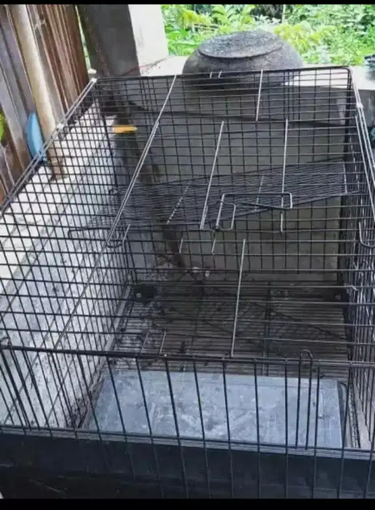 Kandang kucing bekas