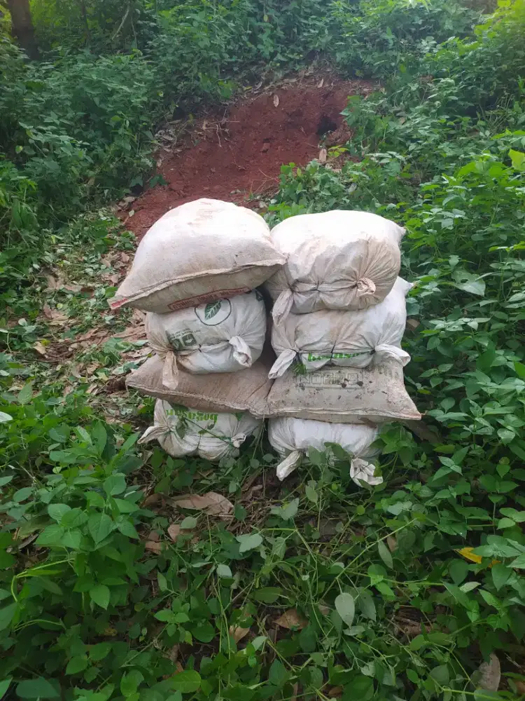 Jual tanah merah perkarung