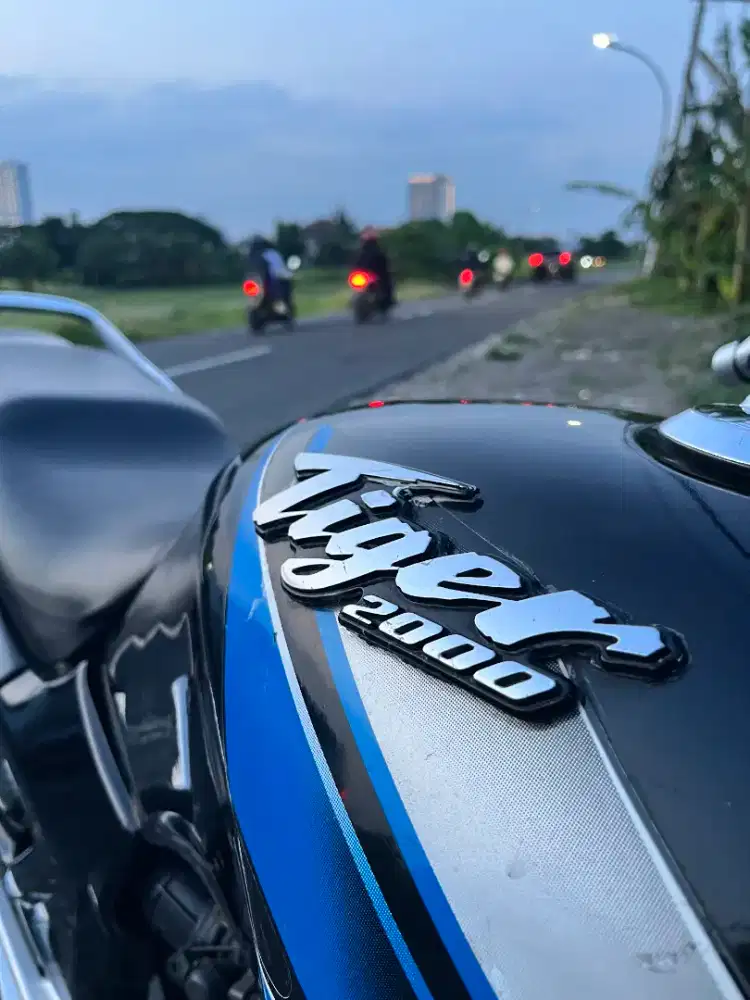 Honda Tiger 2004 New Super Cruiser (Tahun 2004)