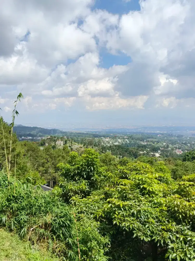 LOWONGAN KERJA WANITA HELPER COOK RESTO