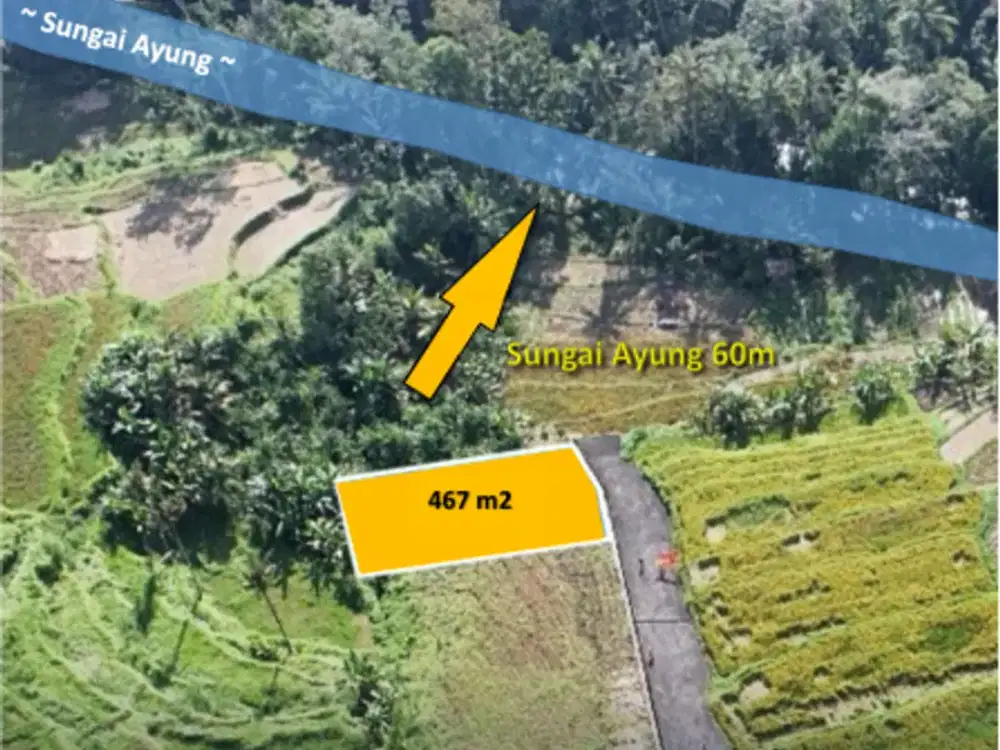 Tanah di Jalan Raya Semana Ubud Bali