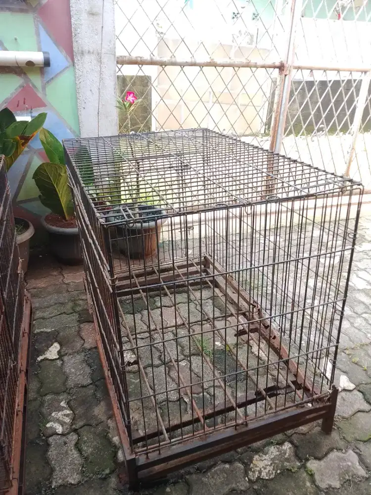Kandang Anjing Bekas