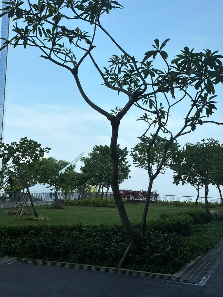 Driver + security + ob