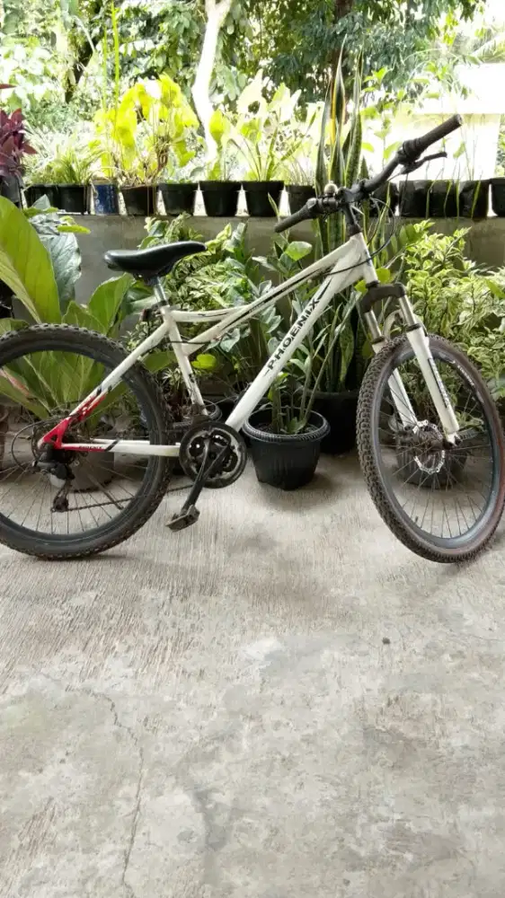 Sepeda MTB Phoenix 26