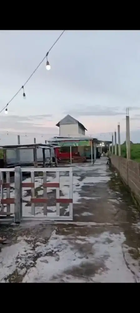 Jual kos dan kafe lokasi Kartosuro luas tanah 1640m harga 1,5 Myd nego