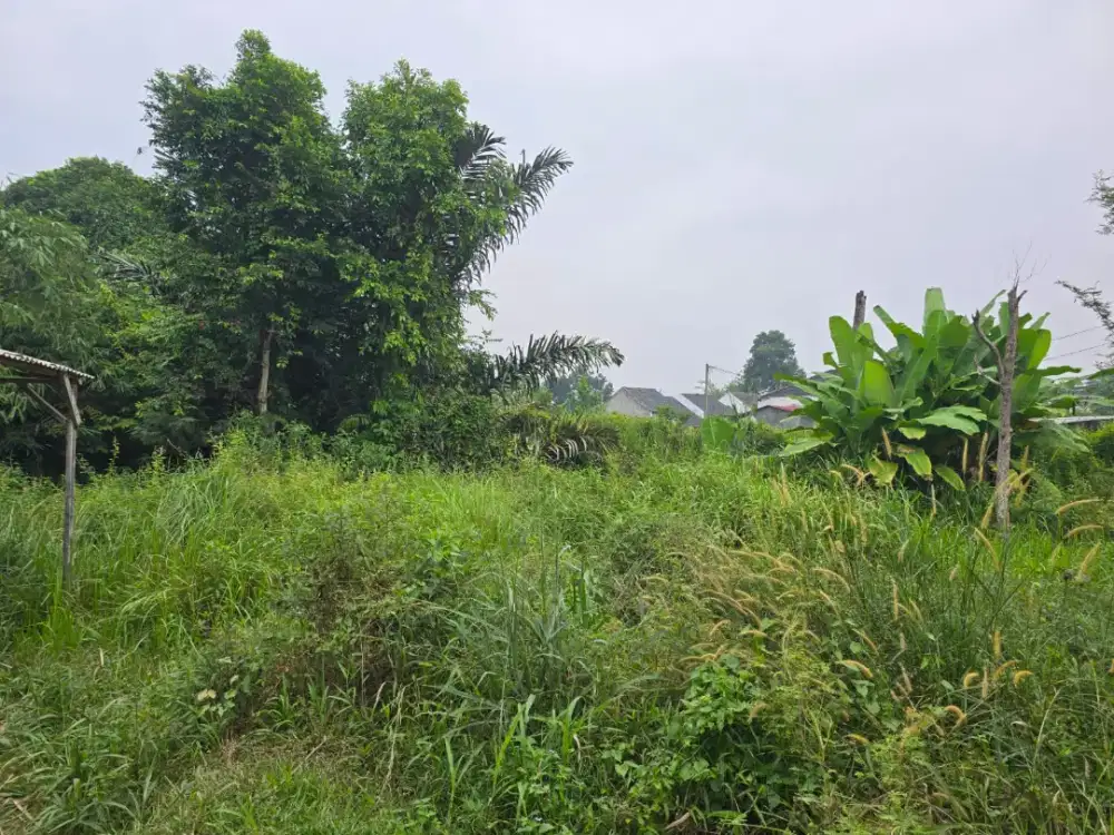 DI JUAL CEPAT TANAH DI LAMPUNG