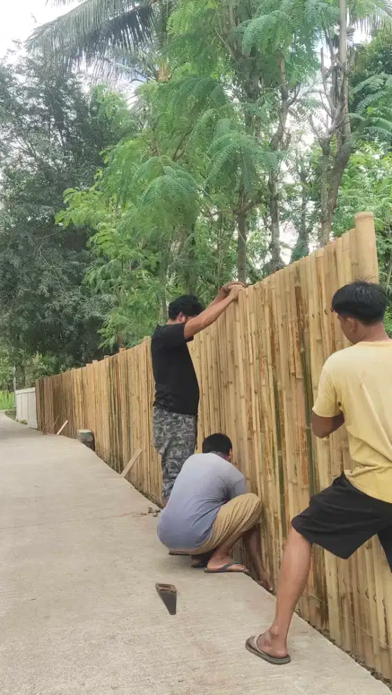 Pagar Bambu Utuh