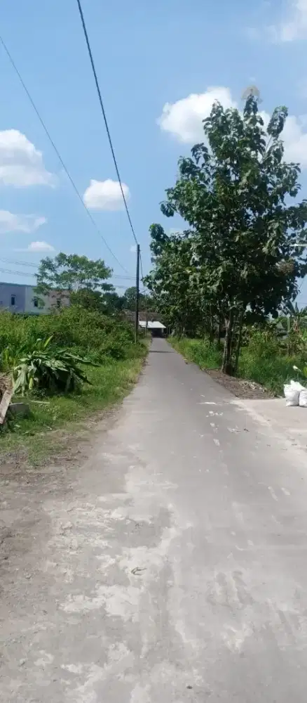 Jual tanah kapling lokasi Ngasem colomadu lt 226m hrg 2jt/MTR nego