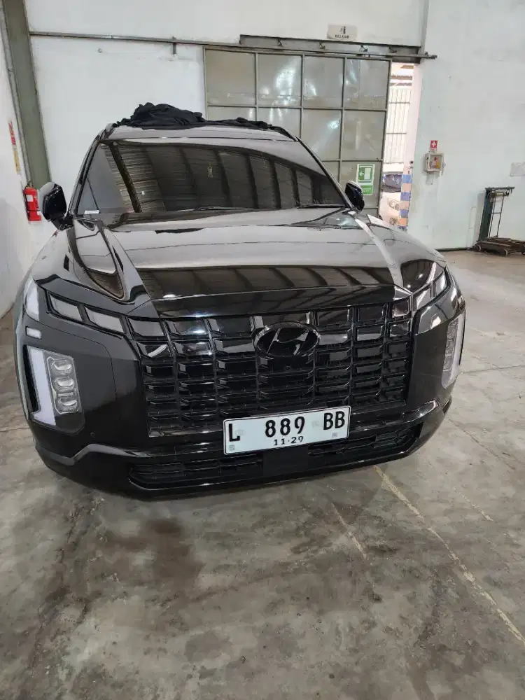 Palisade signature 2024