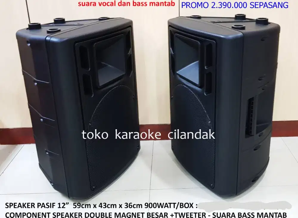 speaker pasif 12in
