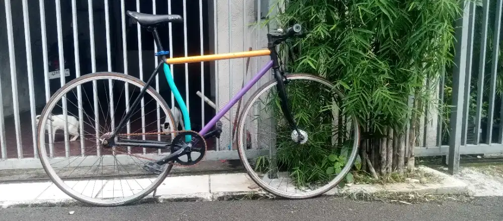 Sepeda fixie. Besi,bekas pemakaian