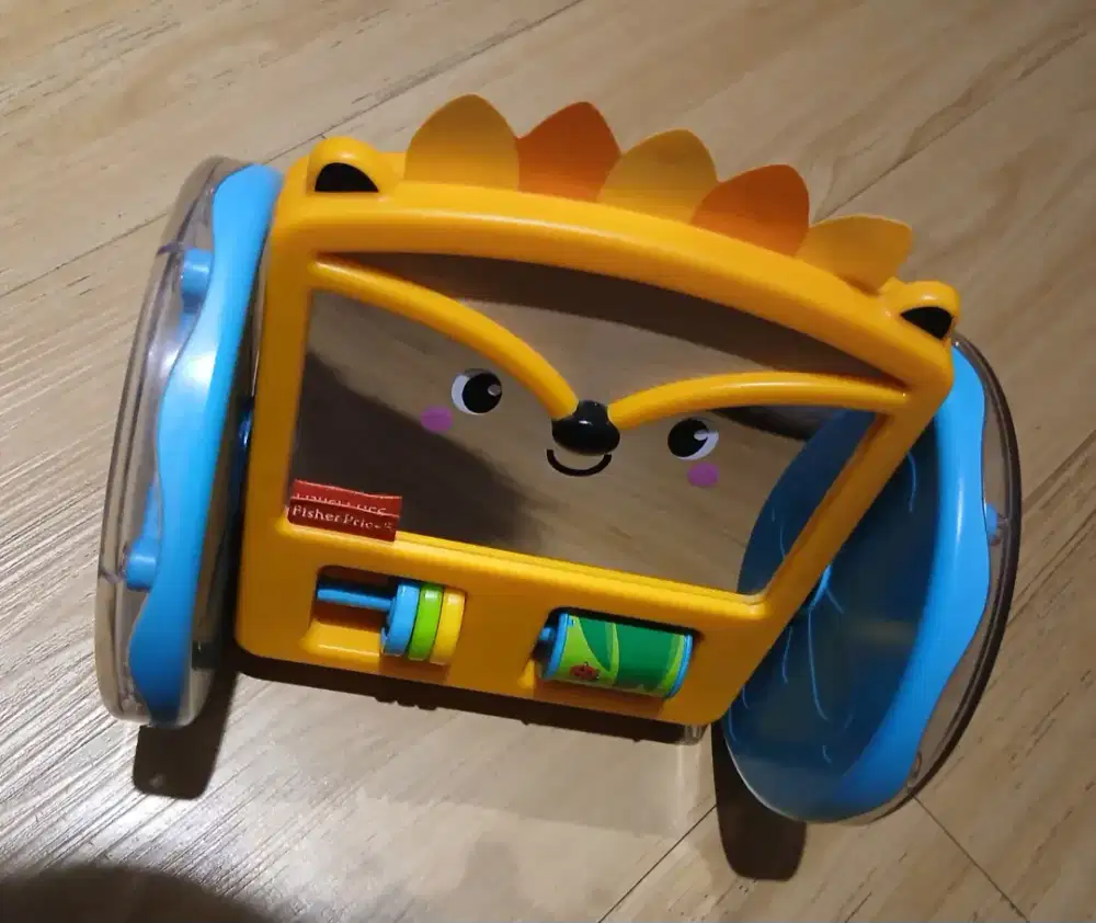 Fisher Hedgejog Mirror