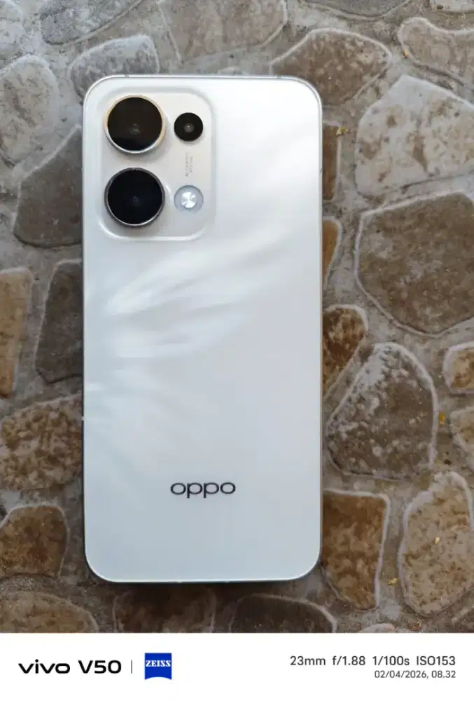 Reno 13 12/256 hp only