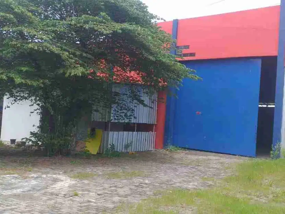 Sewa Gudang Di Muktiharjo Raya Kaligawe Semarang