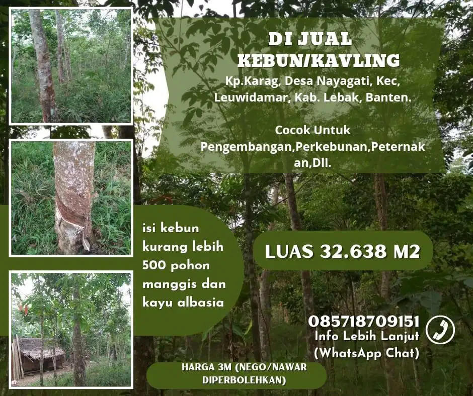 DIJUAL TANAH/ KEBUNMURAH UNTUK INVESTASI, PERUMAHAN,KEBUN, TERNAK DLL.