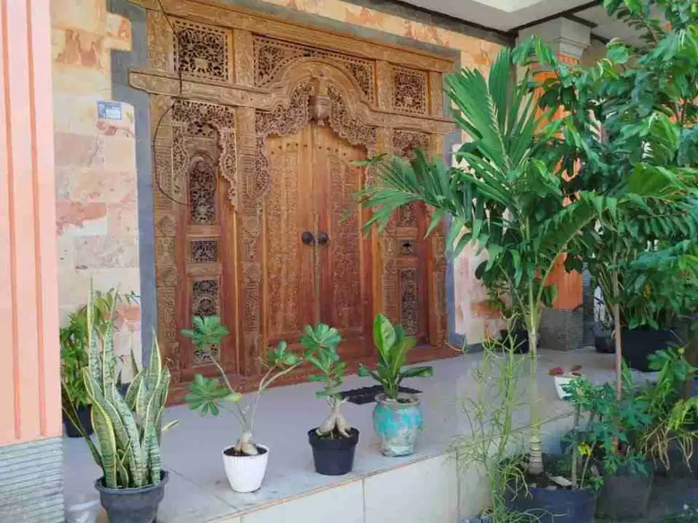 Jual Rumah 2lt Dekat Kampus Jl Akasia Denpasar Timur area Strategis Investasi & Tidak Banjir