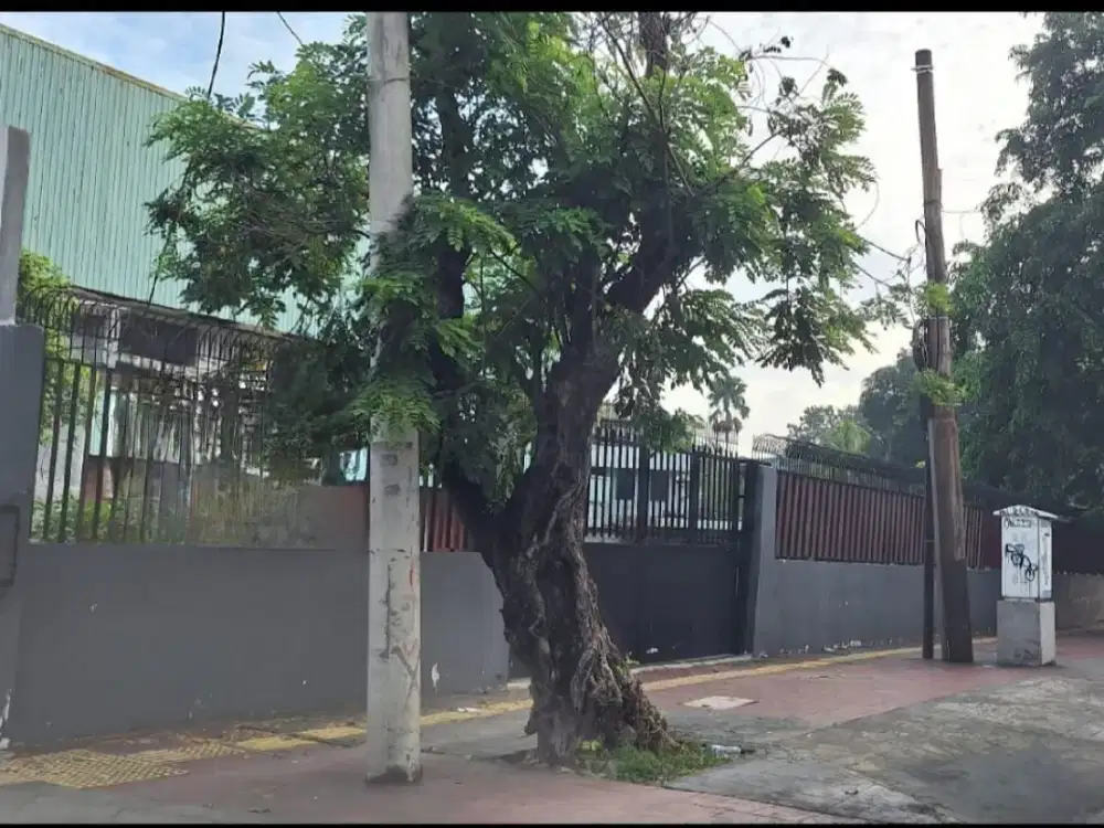 disewakan gudang jalan raya di sunter lokasi strategis