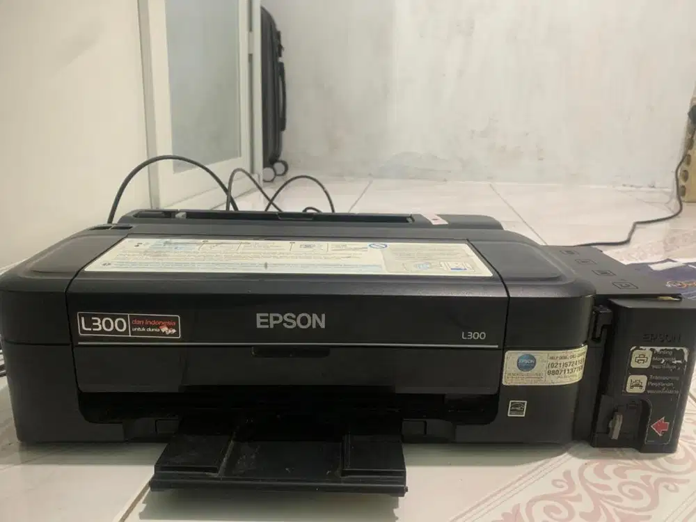 Epson L300 (Second)
