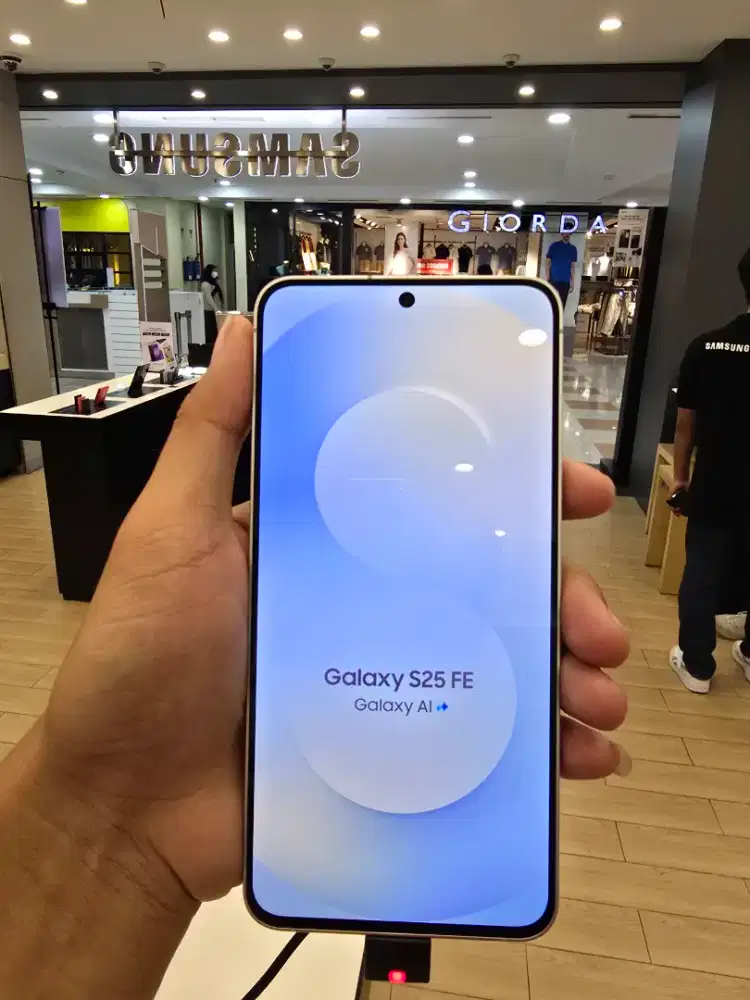Samsung Galaxy S25 FE