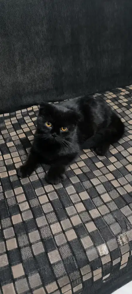 Lowongan Kerja loker