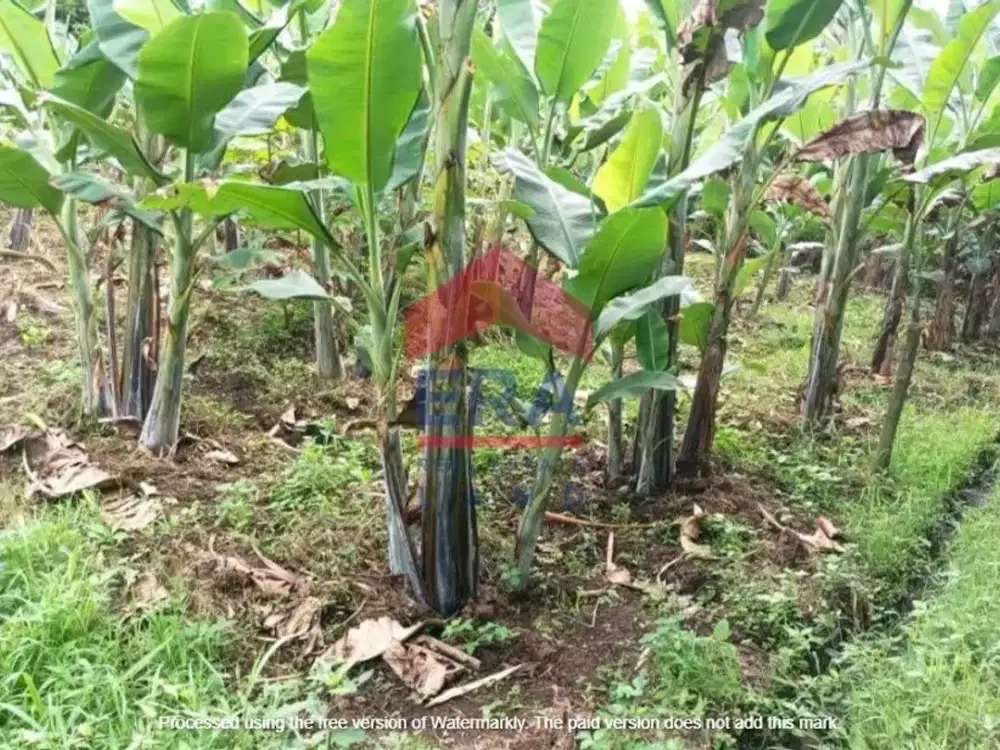 Dijual Tanah di Jalan Kedungpayung Sumberpsair Malang