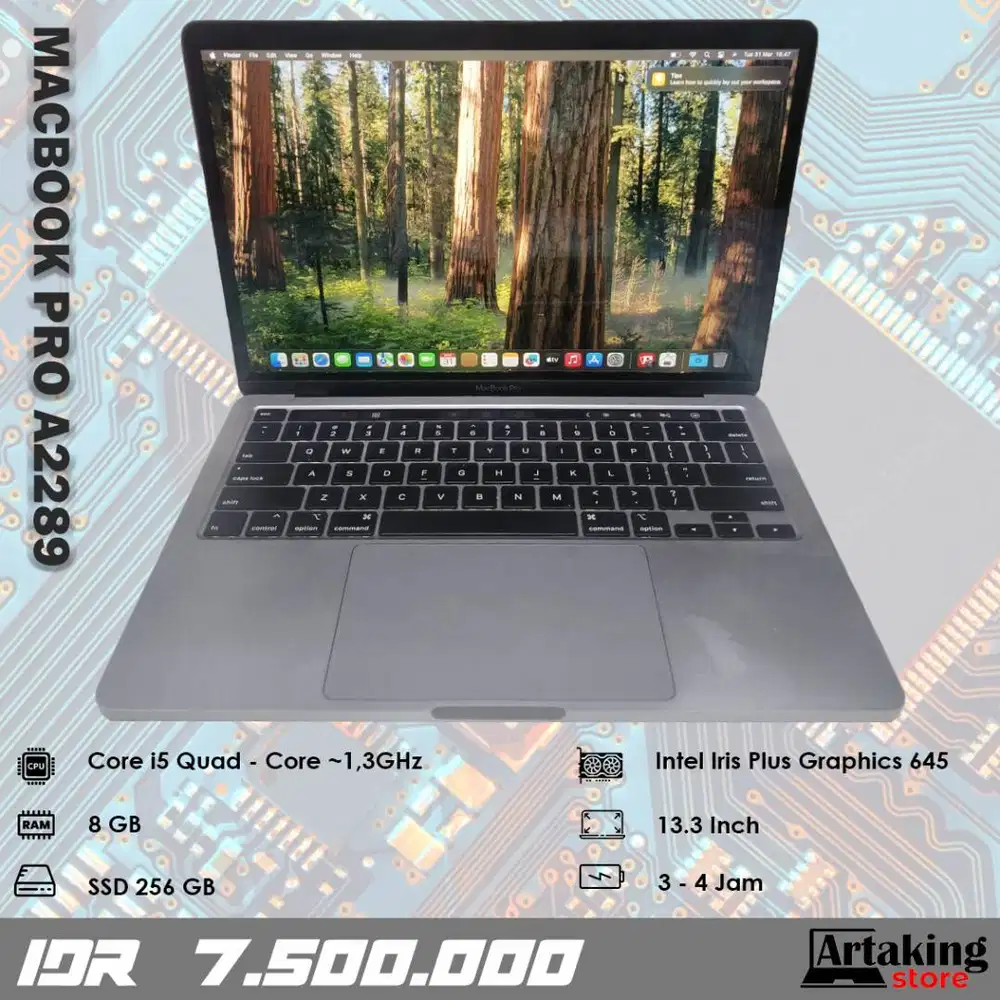 Macbook Pro A2289 (2020) - Core i5 - Ram 8 GB - SSD 256 GB