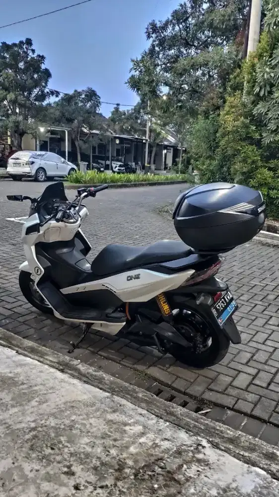 Djual Alva One muluss