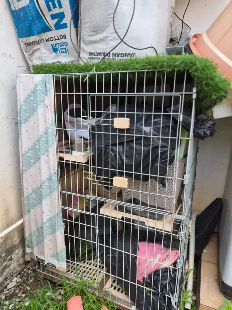 Jual kandang kucing besar
