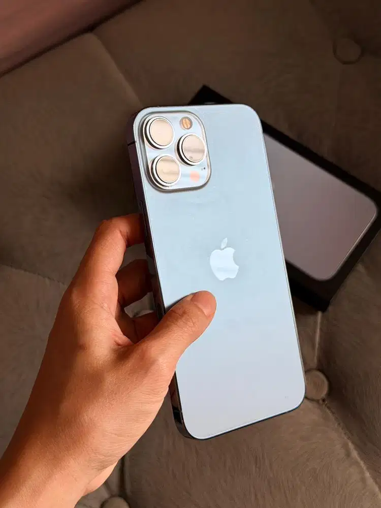 iPhone 13 Pro Max 256GB