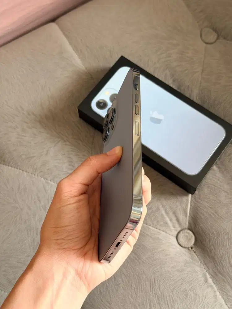 iPhone 13 Pro Max 256GB