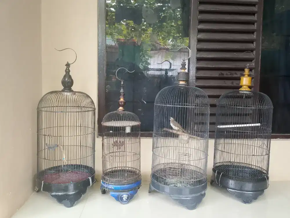 Burung beserta sangkarnya