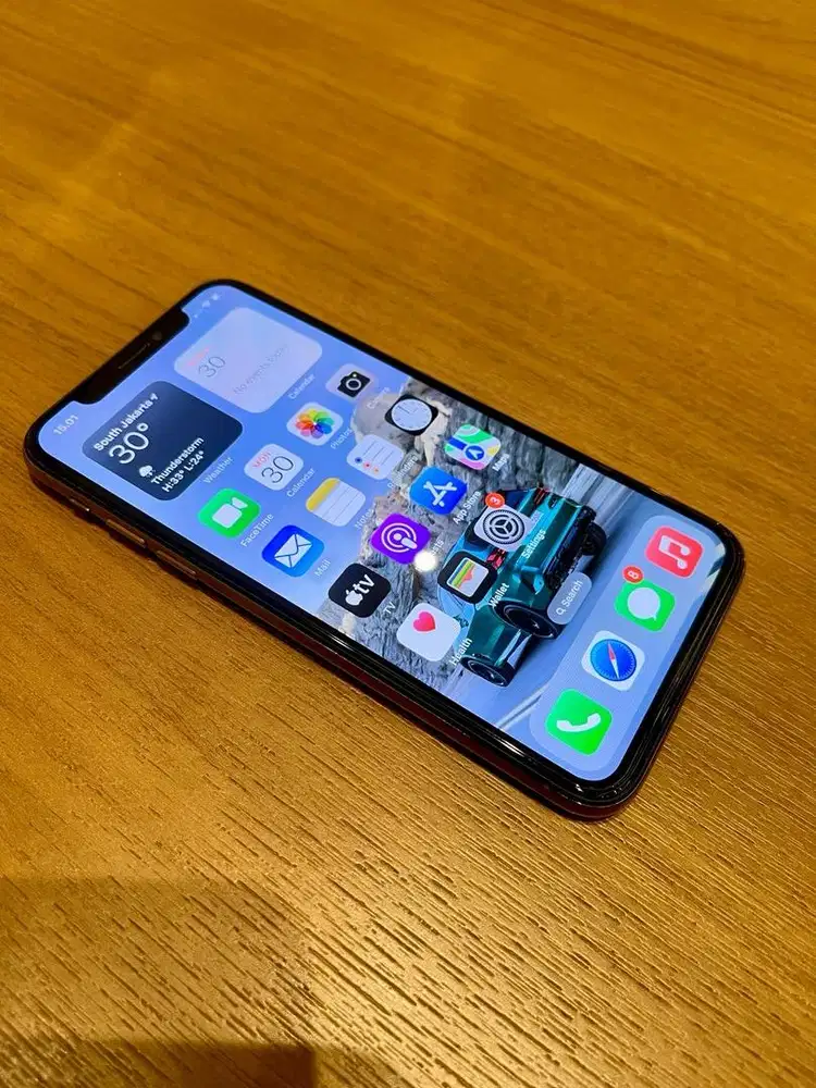 iPhone XS 256GB Garansi Ex Inter Warna Gold Battery Minus Face ID OFF