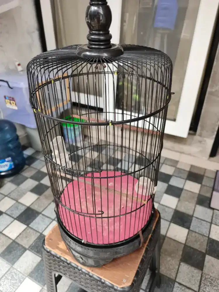 Kandang Burcil fullset