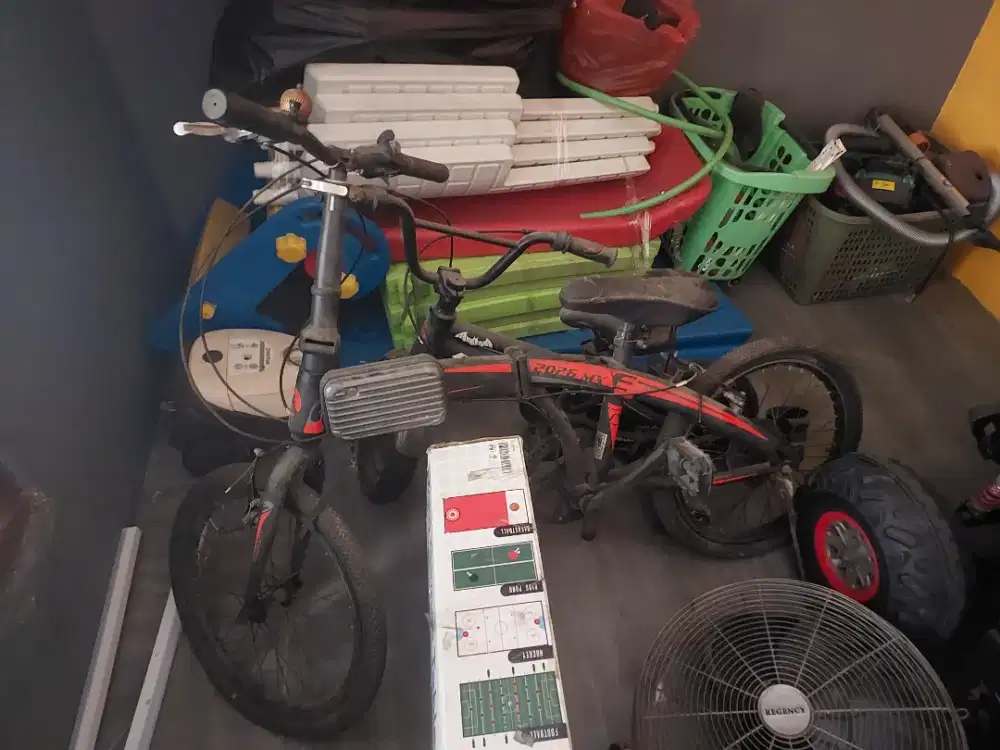 Sepedah lipat exotic