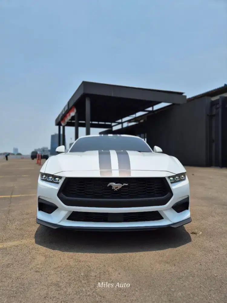 Brand New Ford Mustang 2.3L Ecoboost 2024 White on Black