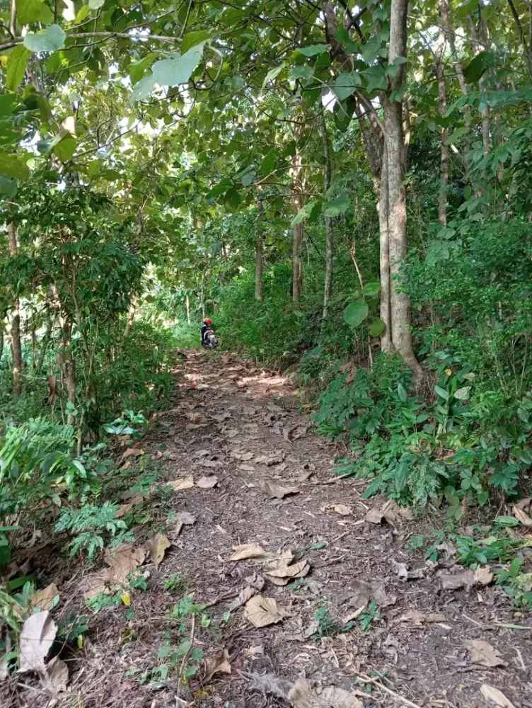 Jual tanah lokasi sumber lawang luas 851mtr hrg 85jt nego