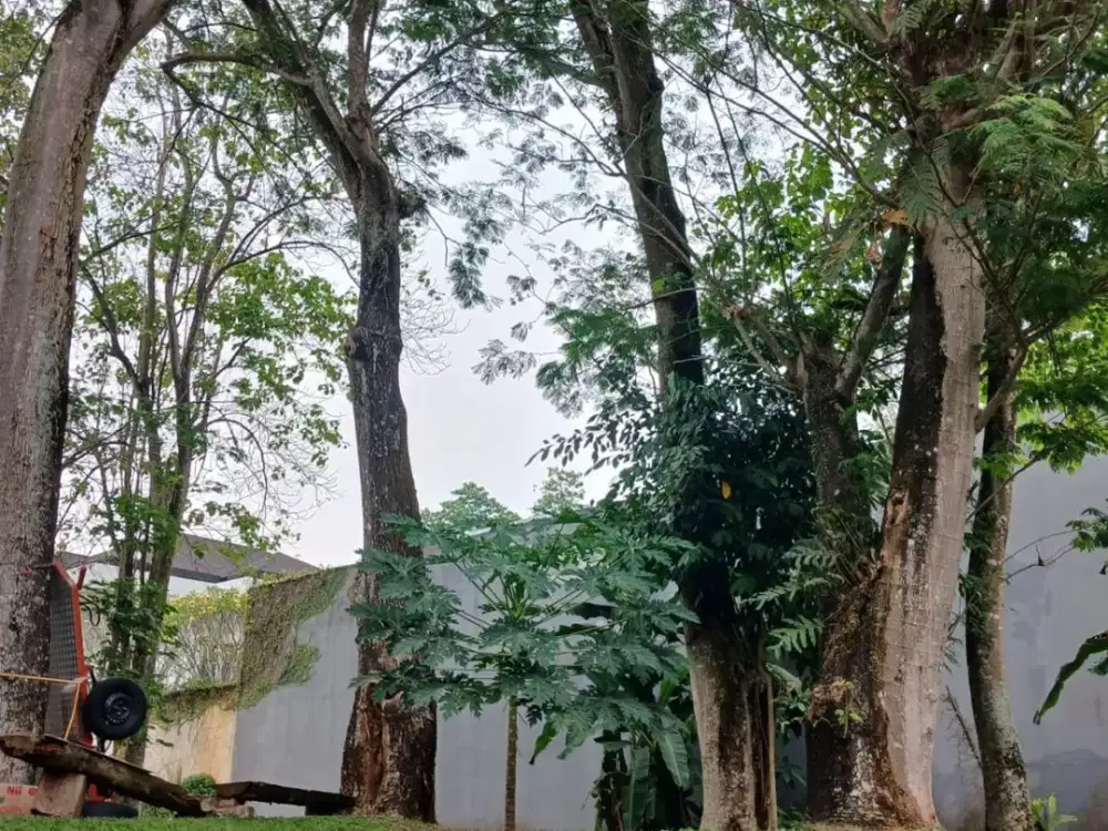 Dijual Cepat Kavling di Taman Tirta Golf Termurah Se BSD