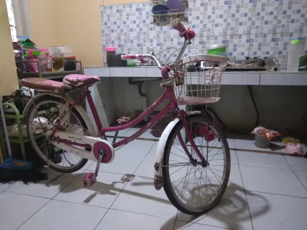 Di jual cepat sepeda bekas untuk anak perempuan harga nego