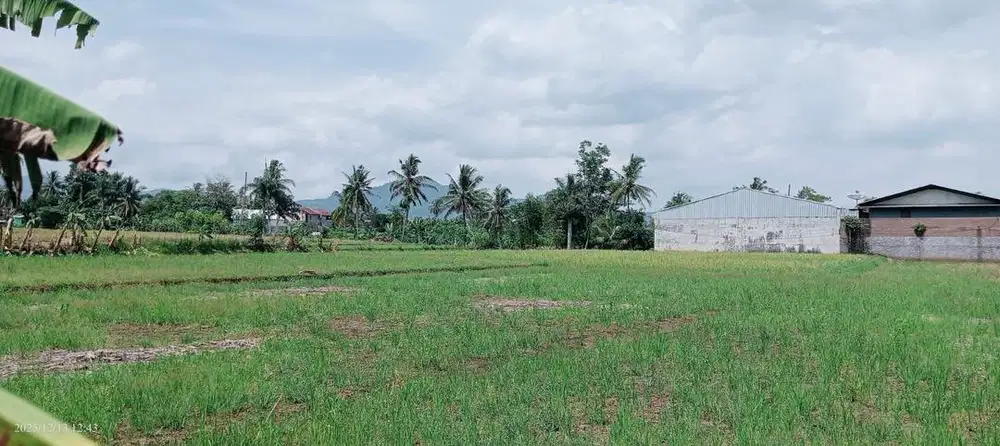 Dijual tanah pinggir jalan cianjur