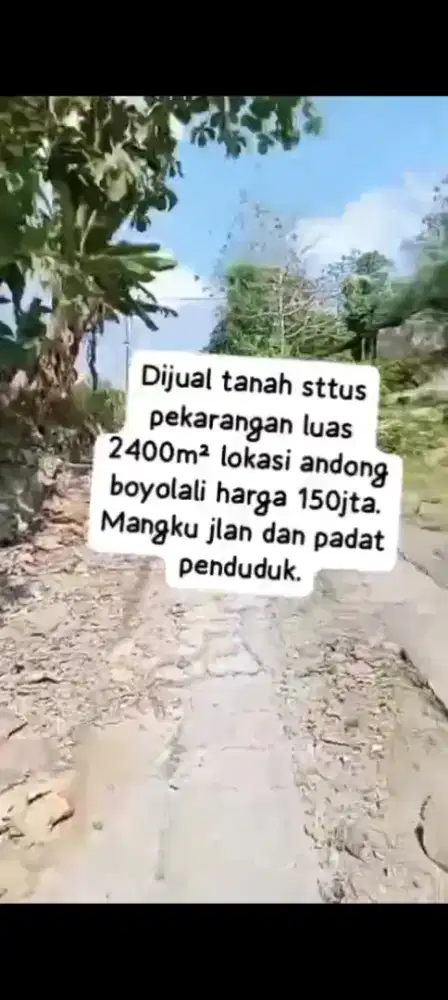 Jual tanah lokasi andong Boyolali luas 2400m hrg 150jt mawon