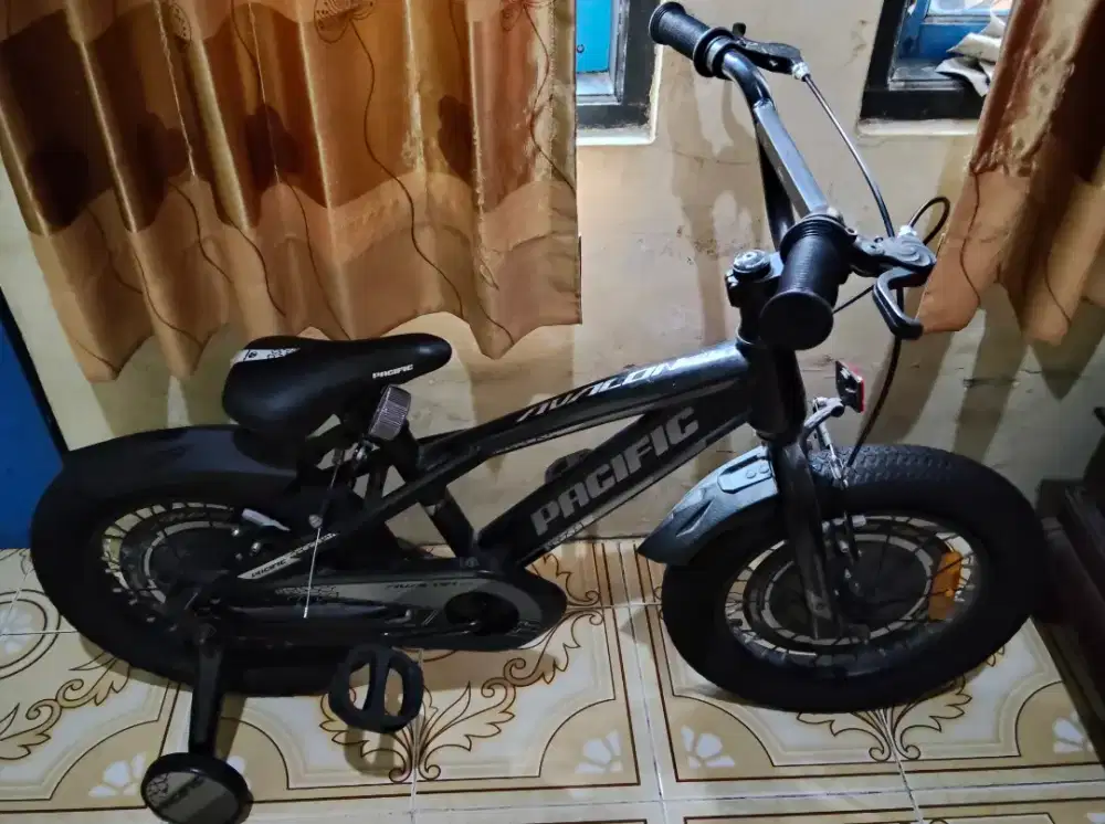 Sepeda Pacific Avalon 3.0